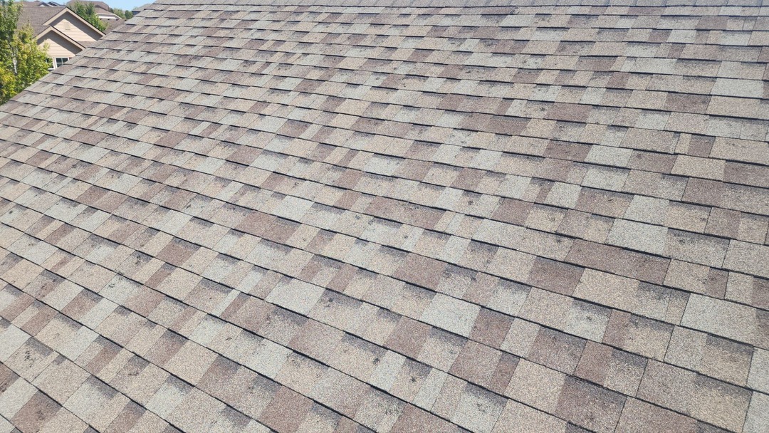 Close-up of an asphalt shingle roof during a hail damage inspection